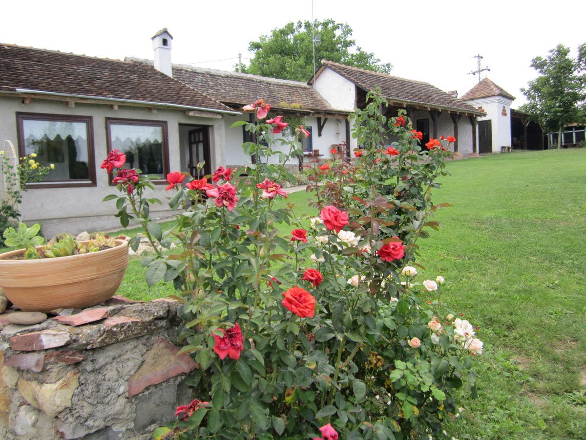 Guest House Vila Albedo Varna Exterior foto